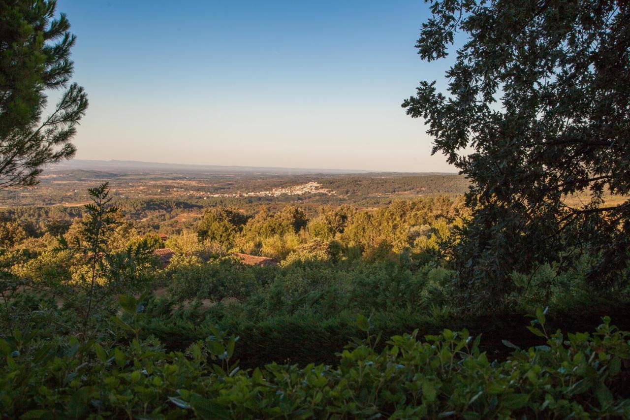 Willa Finca La Sayuela El Raso Zewnętrze zdjęcie